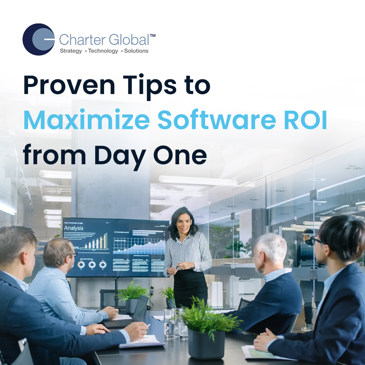 How-to-Maximize-Software-ROI-01