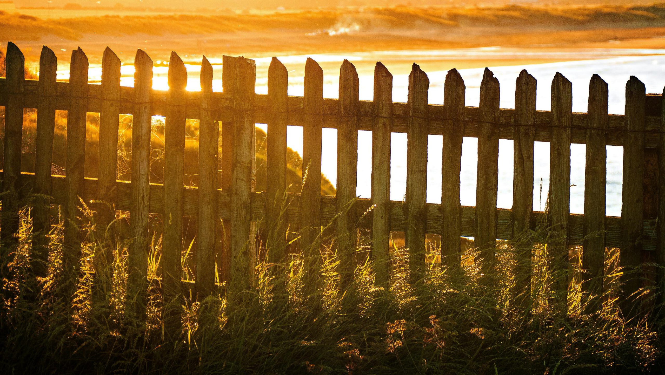 The Premier Choice Among Fencing Companies in Rock Hill SC