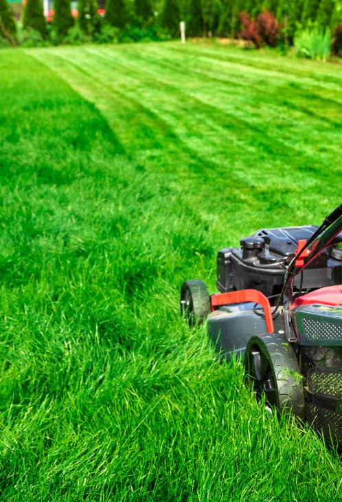Lawn Care Missoula: Elevating Lawn Care Standards in Missoula, MT