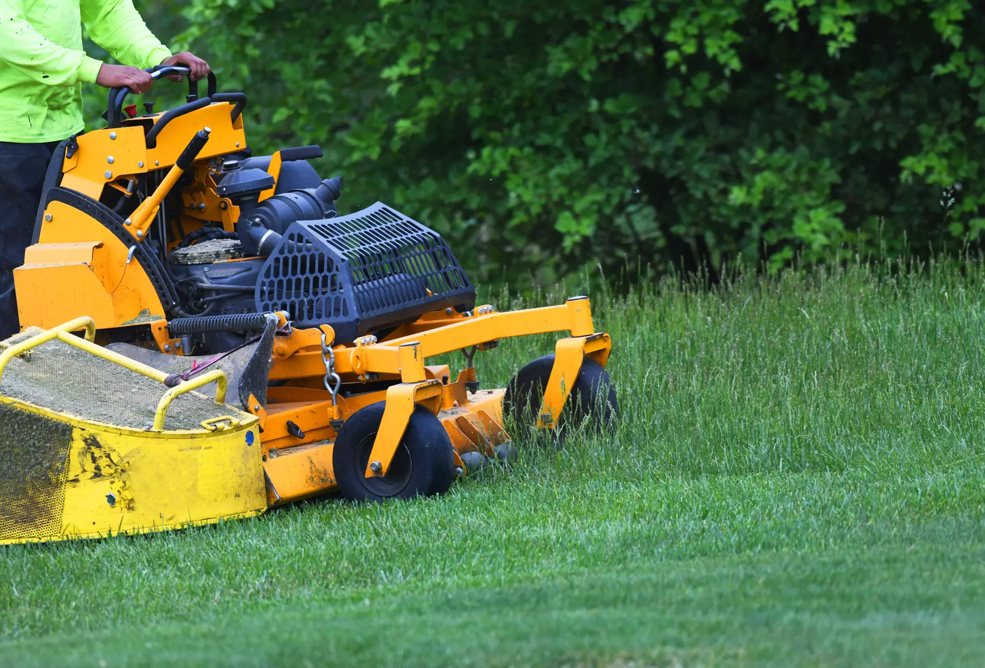 How Professional Landscaping Can Significantly Enhance Property Value in Orlando